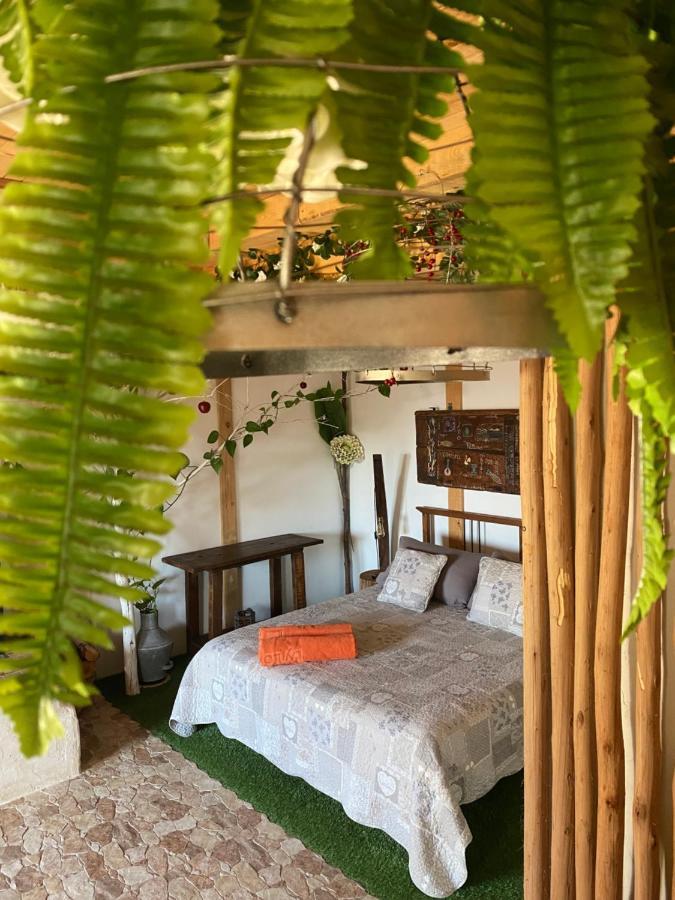 Tinalhas Espirito Cabana B&B 외부 사진